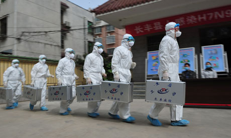 Bird flu drill in China