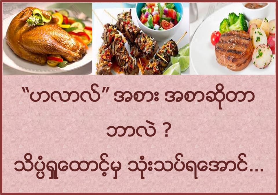 မေမးလည္းေျဖ(၁၅)- ဟလာလ္္ အစားအစာ ဆိုတာ ဘာလဲ ? သိပၸံရႈေထာင့္မွ သုံးသပ္ရေအာင္…