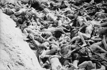 Eines_von_3_Massengräbern_in_Bergen-Belsen,_so_wie_es_von_den_Befreiern_vorgefunden_wurde,_1945
