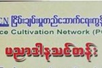 လူမ်ိဳး/ဘာသာမခြဲျခားတဲ့ ပညာဒါန တကၠသိုလ္ဝင္တန္း က်ဴရွင္ ဒလ မွာ ဖြင့္