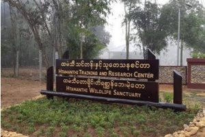 စစ်ကိုင်းတိုင်းမှ ထမံသီဘေးမဲ့တော အာဆီယံ အမွေအနှစ်အဖြစ် သတ်မှတ်ခံရ