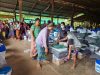 မြန်မာပြည်သူများကို ပိုမိုကူညီနိုင်ရေး မလေးရှားကြိုးပမ်းနေ