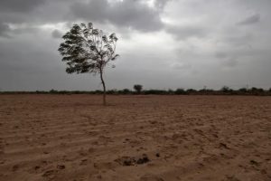 ၅ နှစ်အတွင်း မိုးအနည်းဆုံးဖြစ်ပြီး စိုက်ပျိုးရေး အကြီးအကျယ် ထိခိုက်လာနိုင်သည့် အိန္ဒိယ